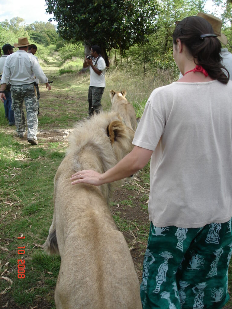 Marcher avec des lions