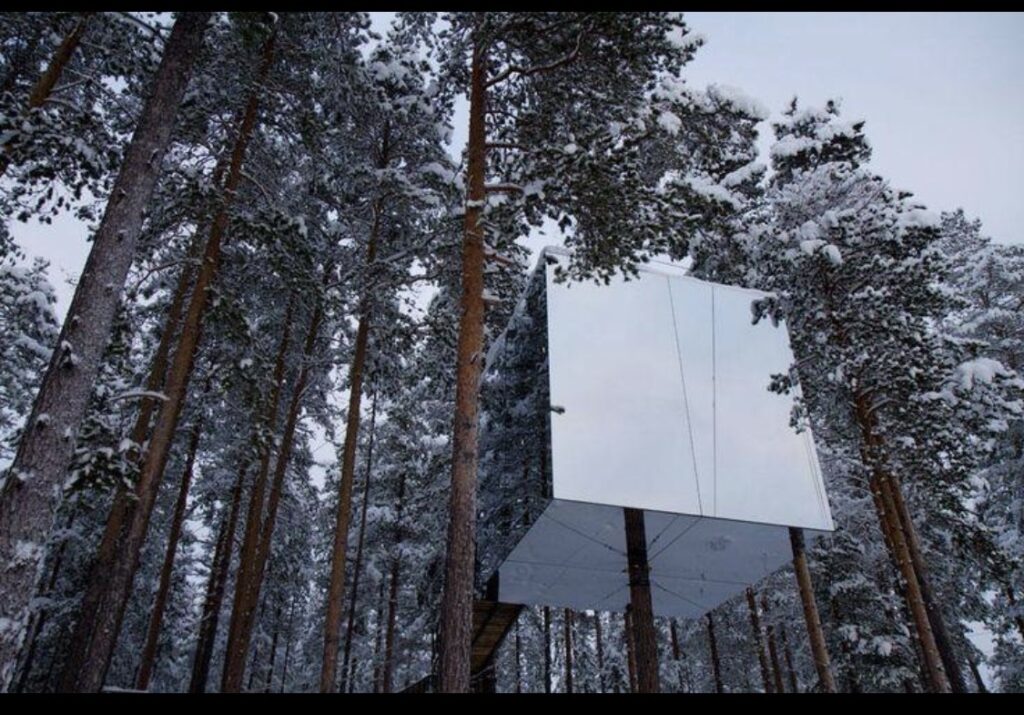 Cabane dans les arbres